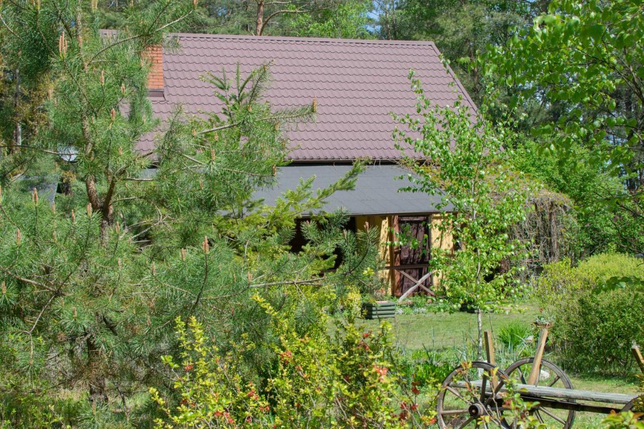 Gospodarstwo Agroturystyczne Nad Jeziorem Wsrod Lasow Lipnica  Ngoại thất bức ảnh